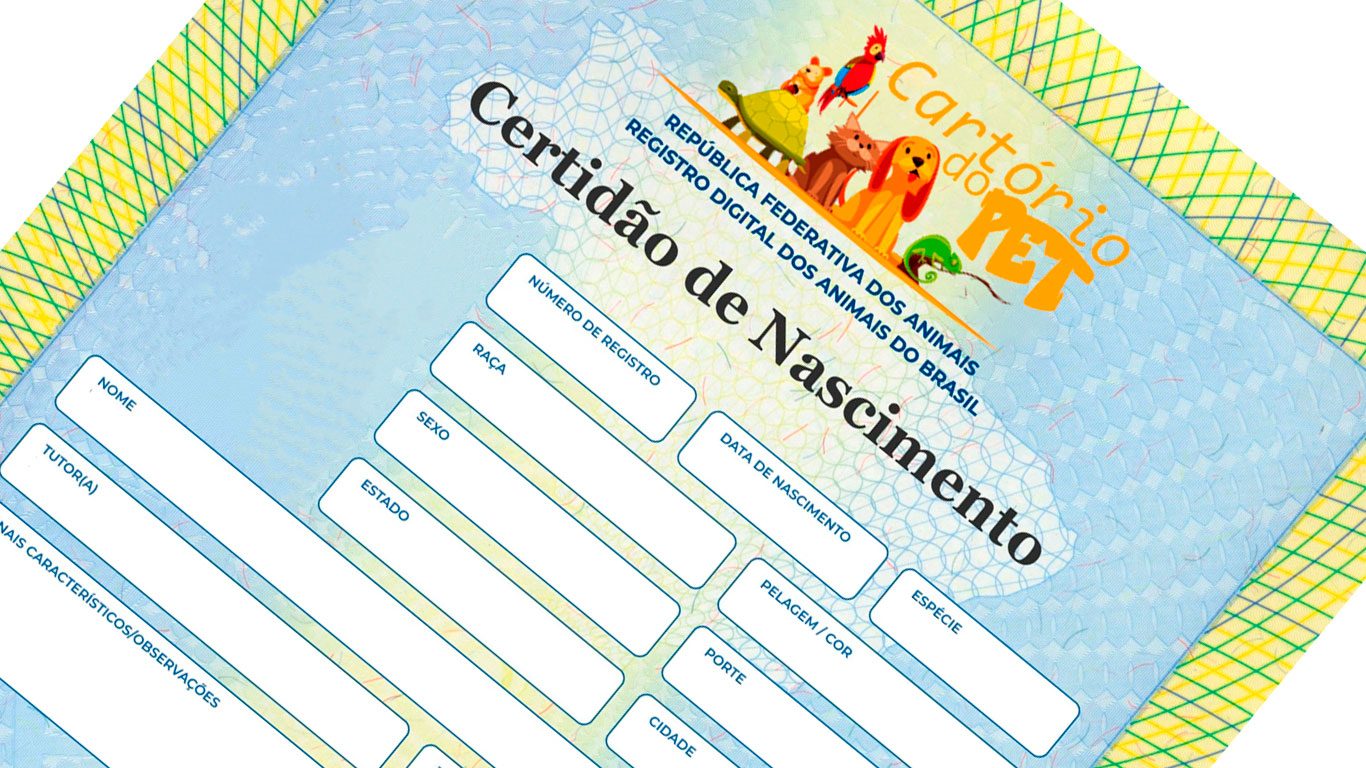 Página Pública